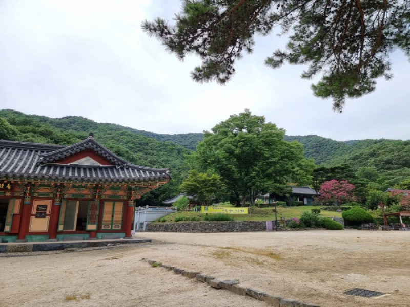 부여 8경 천년고찰 만수산 무량사 가볼만한곳 : 네이버 블로그
