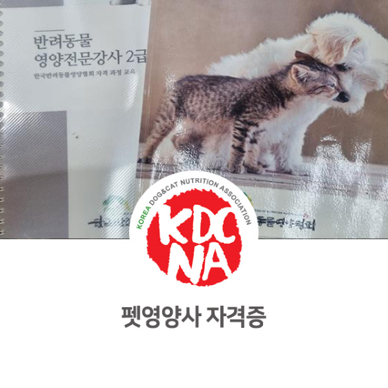  정유경 펫영양사 직강 반려동물영양전문강사 2급 과정 소개 [한국반려동물영양협회/펫푸드자격증/펫푸드창업/강아지자연식/애견수제간식/익산/정읍/남원/광주/아산_846]