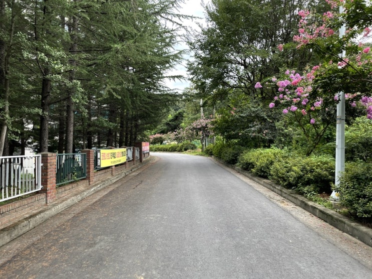  주말엔 동네 뒷산 트래킹