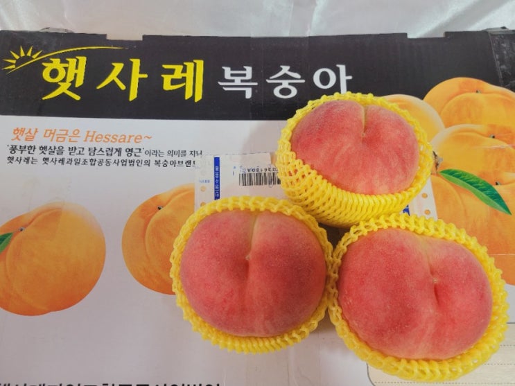  햇사레 감곡 참좋은농원 복숭아 깎는법 쉽고 빠르게 깎기