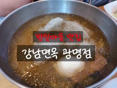 [경기도 광명 맛집] 밤일마을 강남면옥 광명점에서 냉면과 만두 맛있게 먹고 왔어요 / 여름 아이와 먹기 좋은 음식 함흥냉면