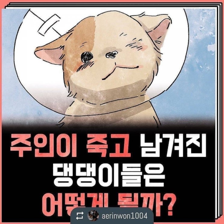 (공유) 주인이 죽고 남겨진 강아지들은 어떻게될까? (공유) 주인이 죽고 남겨진 강아지들은 어떻게될까?