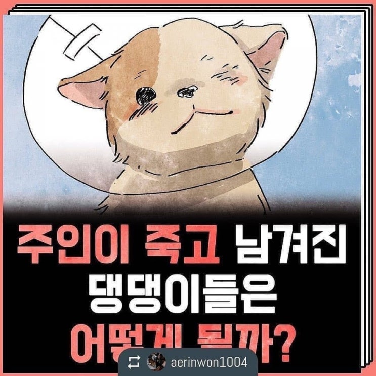 (공유)  주인이 죽고 남겨진 강아지들은 어떻게될까?