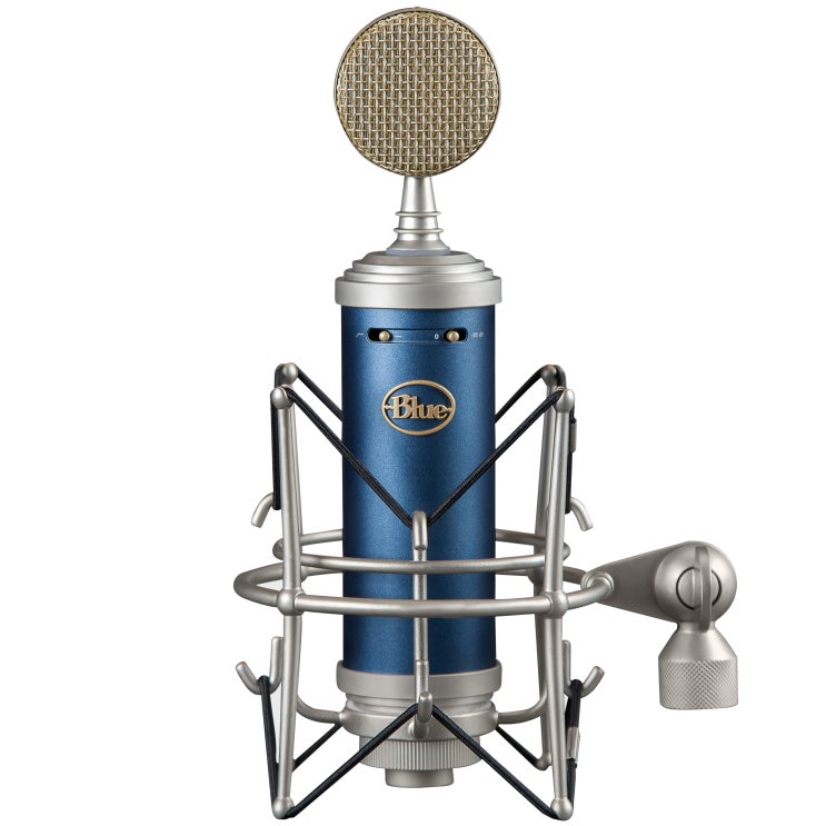 후기가 좋은 BlueMicrophones 보컬 및 레코딩용 유선마이크 실버블루, BLUEBIRD SL ···