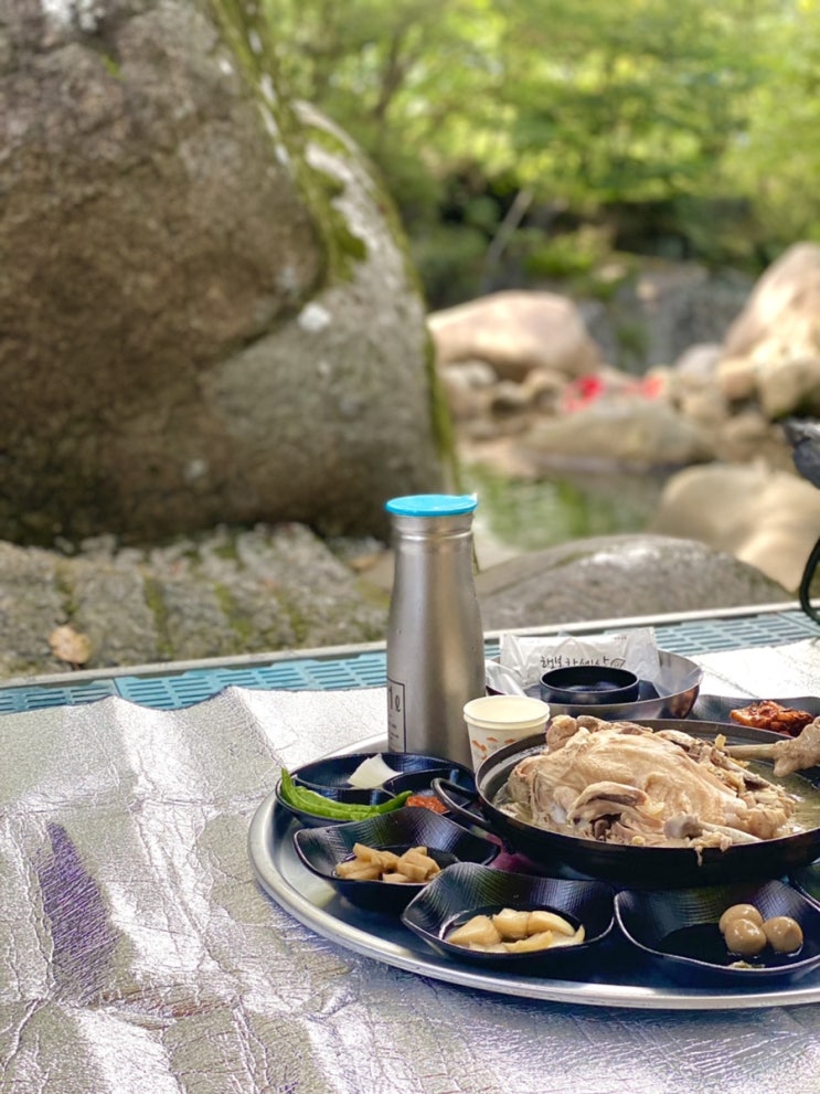  [하동] 쌍계사 계곡 백숙 - 신진식당 (물놀이/계곡/백숙/가족 나들이 추천)