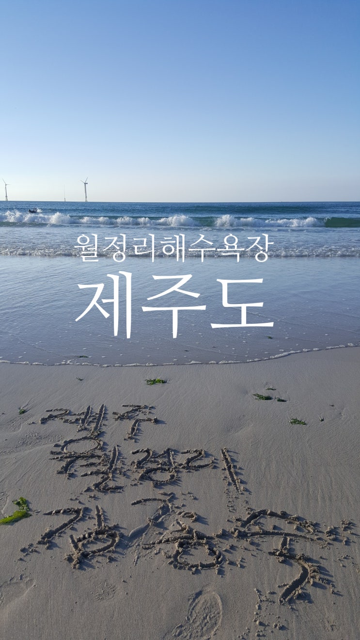  제주동쪽 월정리해수욕장 제주도여행 여름휴가추천