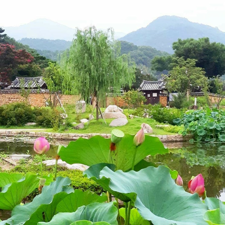 마음을 안아보세요