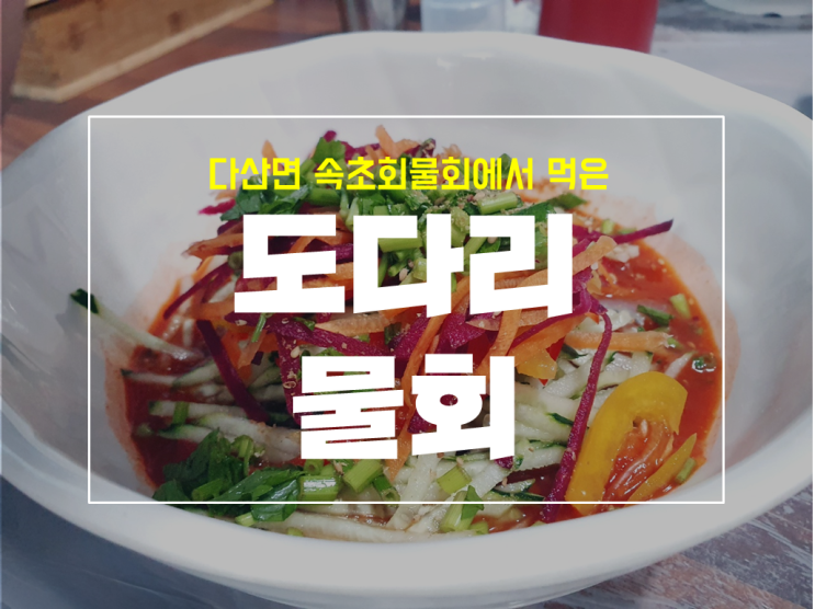  다산면 횟집 속초회물회에서 물회 먹은 후기