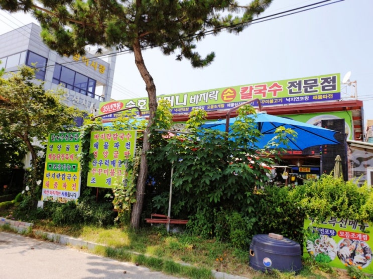 내돈내산 대부도 방아머리해수욕장 식당 맛집 대부도 수호 할머니 바지락 손 칼국수