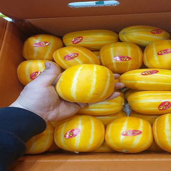 많이 찾는 가람상점 가정용 고령 성주 꿀 참외 10kg 5kg 2.5kg 대과 중과 소과 한박스, 1개, 참외 대과 2.5kg 추천해요 많이 찾는 가람상점 가정용 고령 성주 꿀 참외 10kg 5kg 2.5kg 대과 중과 소과 한박스, 1개, 참외 대과 2.5kg 추천해요