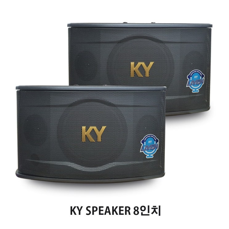 핵가성비 좋은 KY금영 노래방 스피커 KSP-100 8인치 300W 2P 세트 노래방스피커 추천합니다