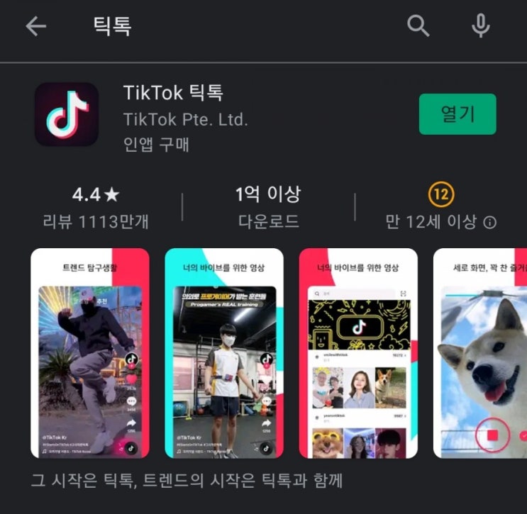  티끌 모아 앱테크 3탄:틱톡(TikTok)