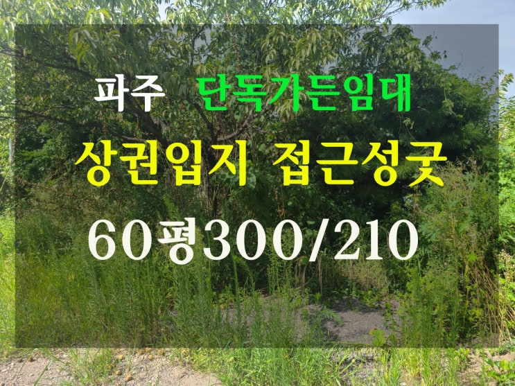 파주 단독가든식당임대 상권!입지 좋은곳 찾으시다면 여기!!! 월세 저렴 실60평 3000/210 주차20대