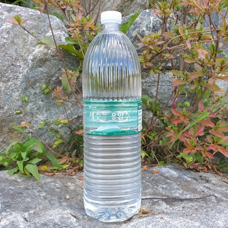 잘팔리는 제주용암수 천연 미네랄워터 물 안전한 알카리수 먹는샘물 오리온 생수 몸에좋은물, 24병, 2L 추천합니다