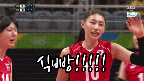 김연경 식빵언니라 불리는 이유 + 식빵짤 모음 김연경 식빵언니라 불리는 이유 + 식빵짤 모음