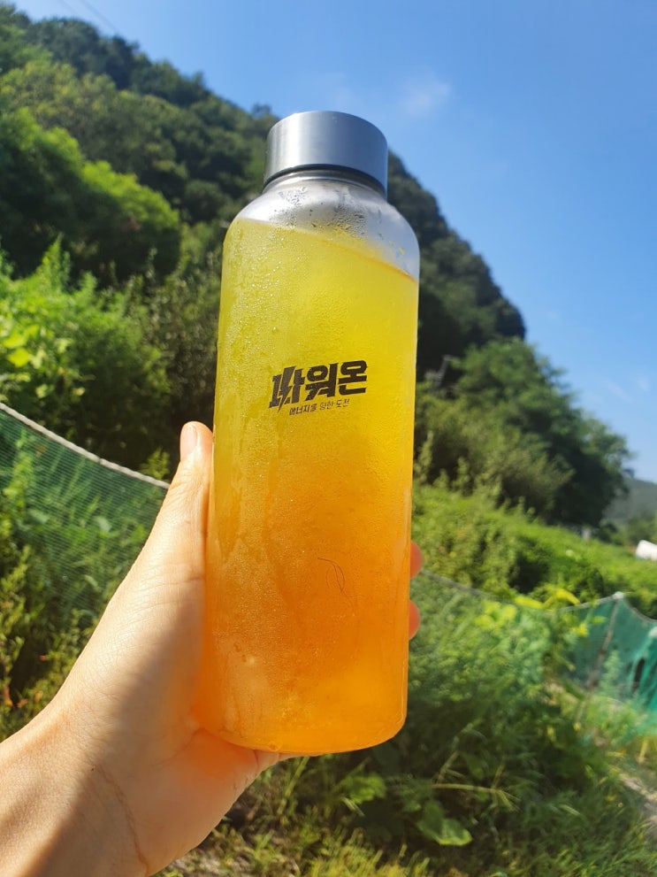  아침을 깨우는 여름건강음료,커피콜레스테롤 걱정 끝~!