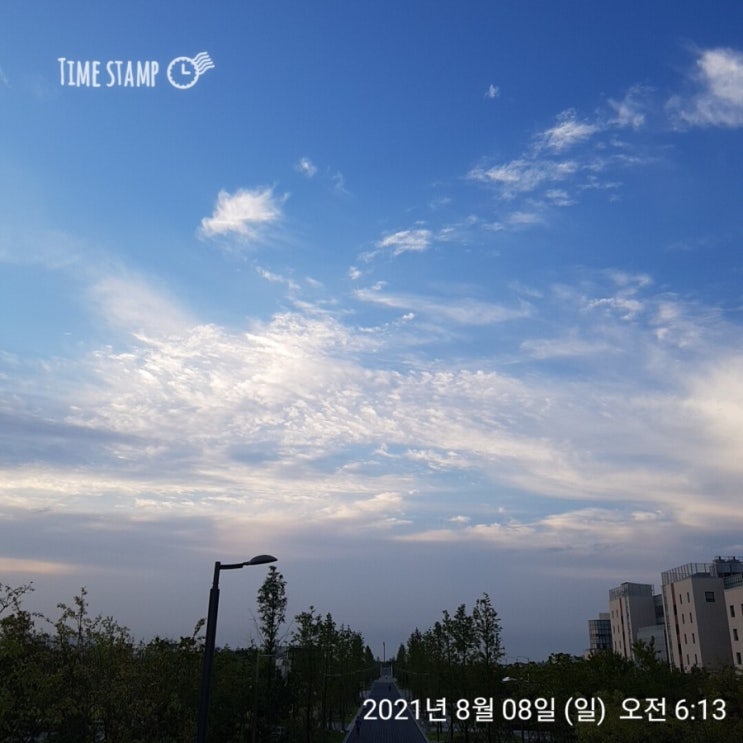  자신이 그린대로 그리는 삶(루틴 유지와 부자의 삶, 송도 글로벌파크, 누리공원, 미추홀공원 산책)