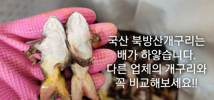  국산 개구리즙효능 2년연속 대한민국 판매 1위 역시 주현이네약초마을