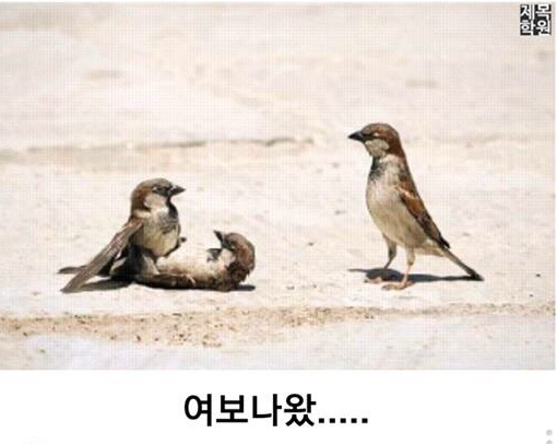 제목학원 레전드 모음