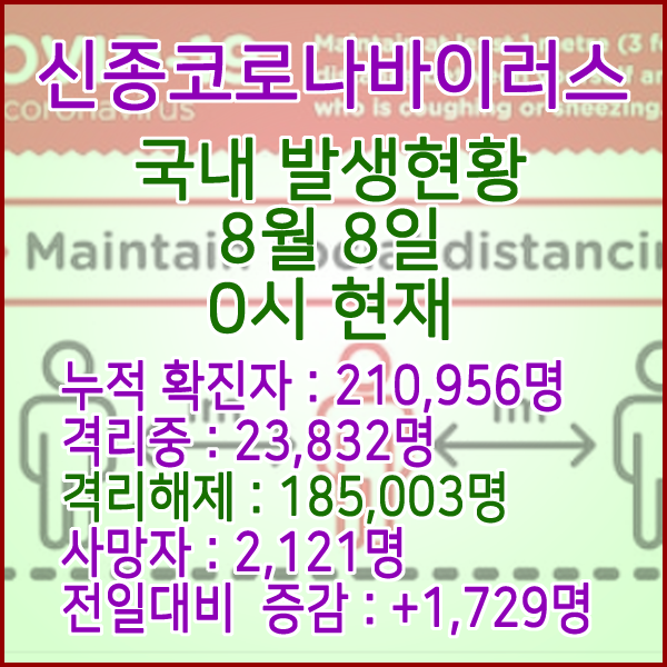  코로나19(코로나바이러스) 8월 08일 0시 국내(해외포함) 발병 210,956명 / 185,003명 완치 격리해제 / 사망자 2,121명
