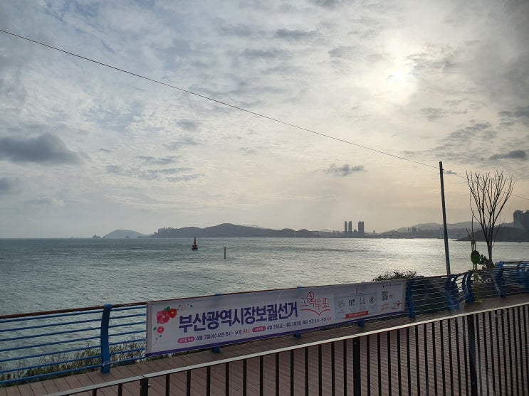  [해변을 달린다 부산 해운대 해변열차]