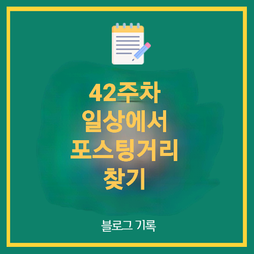  42주차 일상에서 포스팅거리 찾기