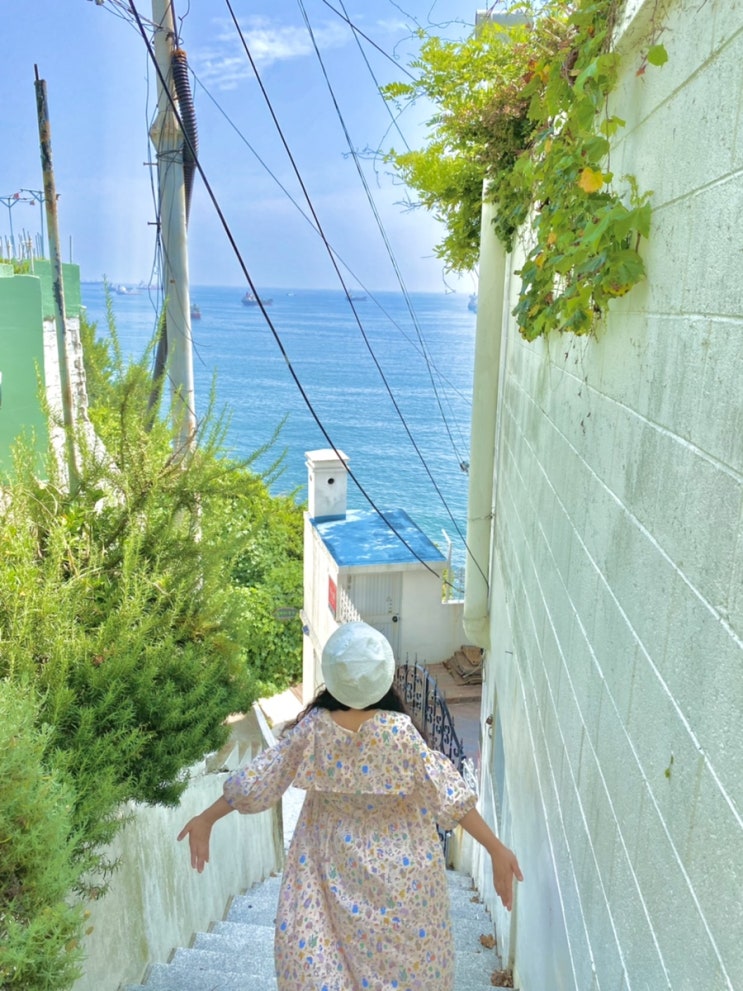  [부산] 두번째 도망 막날 ; 아침은 초량밀면, 손목서가의 고양이, 흰여울은 더웠다, 부산에서 제일 맛있던거 = 라이프버거