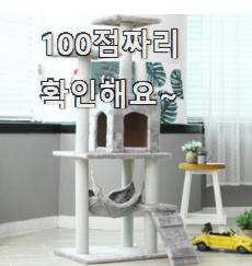  비교선택 소형캣타워 가성비 순위 부장님이 추천했어요.