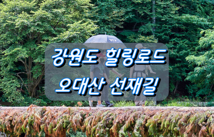 강원도 평창 힐링로드 오대산 선재길 강원도 평창 힐링로드 오대산 선재길