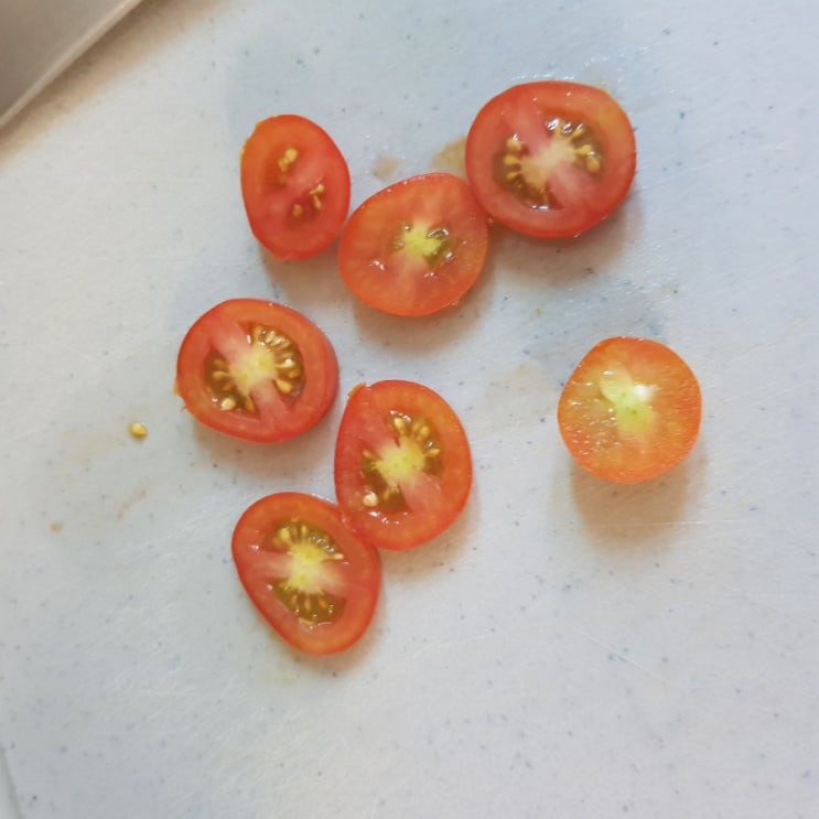  토마토씨앗 심기 집에서 아이와 놀기