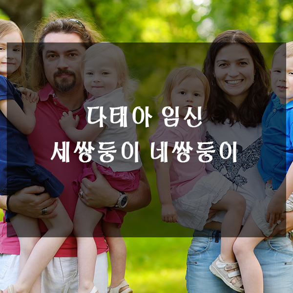  다태아 임신 세쌍둥이 네쌍둥이