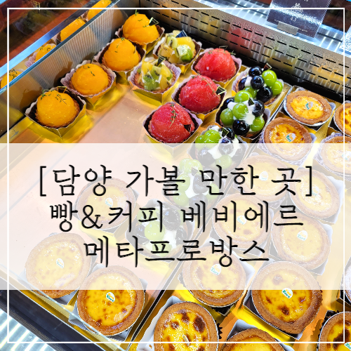  [담양 가볼 만한 곳] 빵&커피 베비에르, 메타프로방스