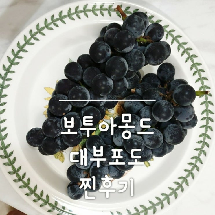  [제품] 보투아몽드 / 고당도 대부 포도 배송 받아본 찐후기