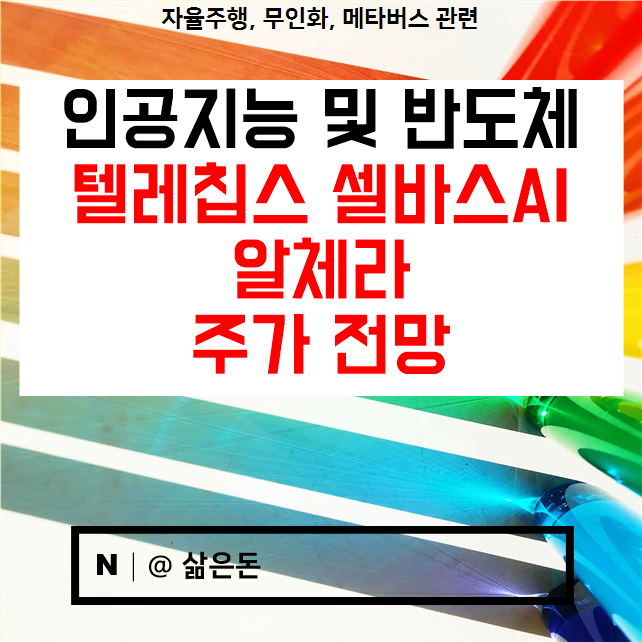 텔레칩스 셀바스AI 알체라 주가 전망 - 인공지능 반도체 관련주