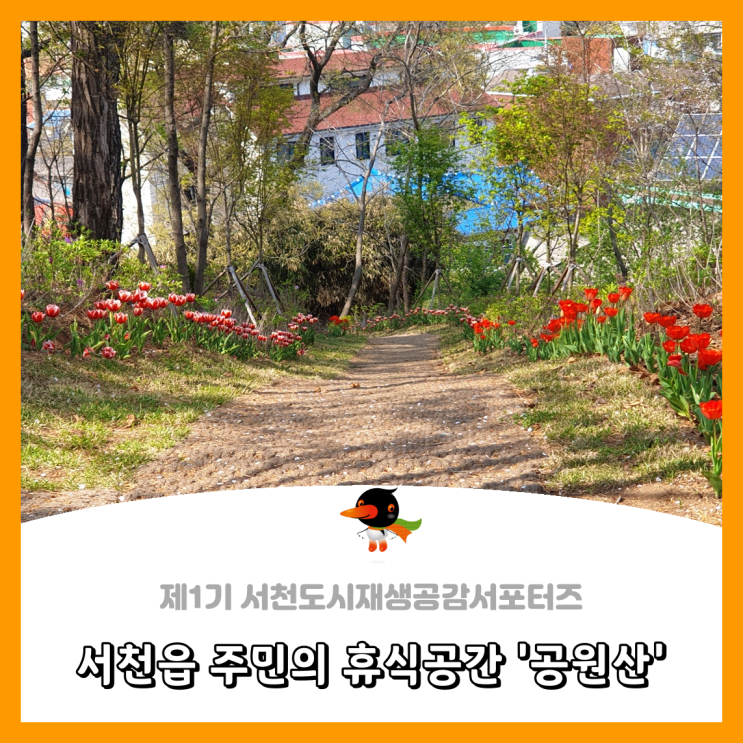 [서천군도시재생공감서포터즈단] 서천읍 주민의 휴식공간 '공원산'