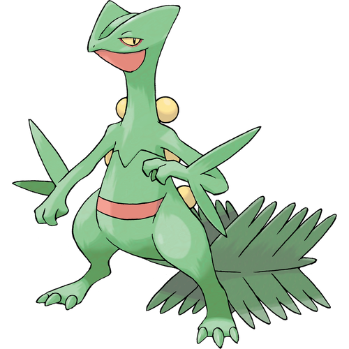  [3세대 포켓몬 도감] 254. 나무킹