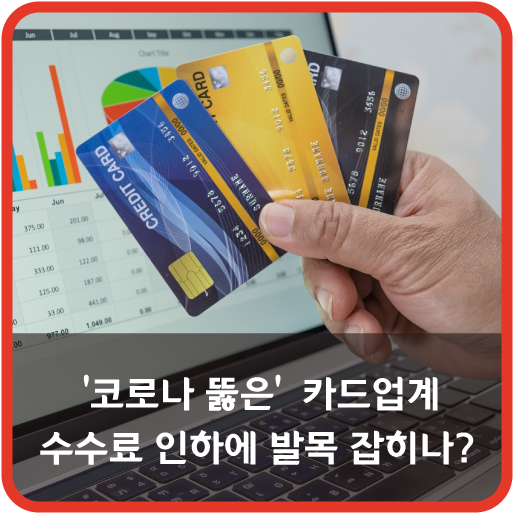 ‘코로나 뚫은’ 카드업계, 수수료 인하에 발목 잡히나?