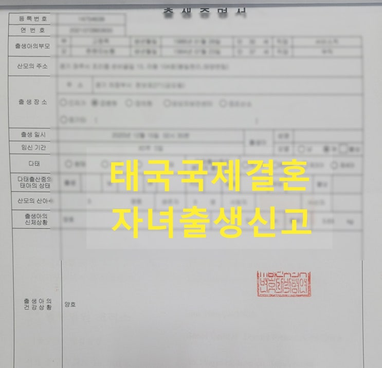 태국국제결혼 자녀출생(인지)신고 사례(불법체류자) 태국국제결혼 자녀출생(인지)신고 사례(불법체류자)