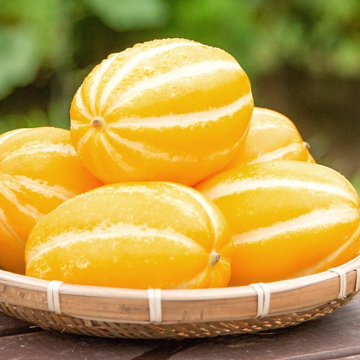 인기있는 성주 참외 프리미엄 로얄과 특상품 선물용 참외 2kg 3kg 5kg, 프리미엄 로얄과 참외 3kg 좋아요 인기있는 성주 참외 프리미엄 로얄과 특상품 선물용 참외 2kg 3kg 5kg, 프리미엄 로얄과 참외 3kg 좋아요