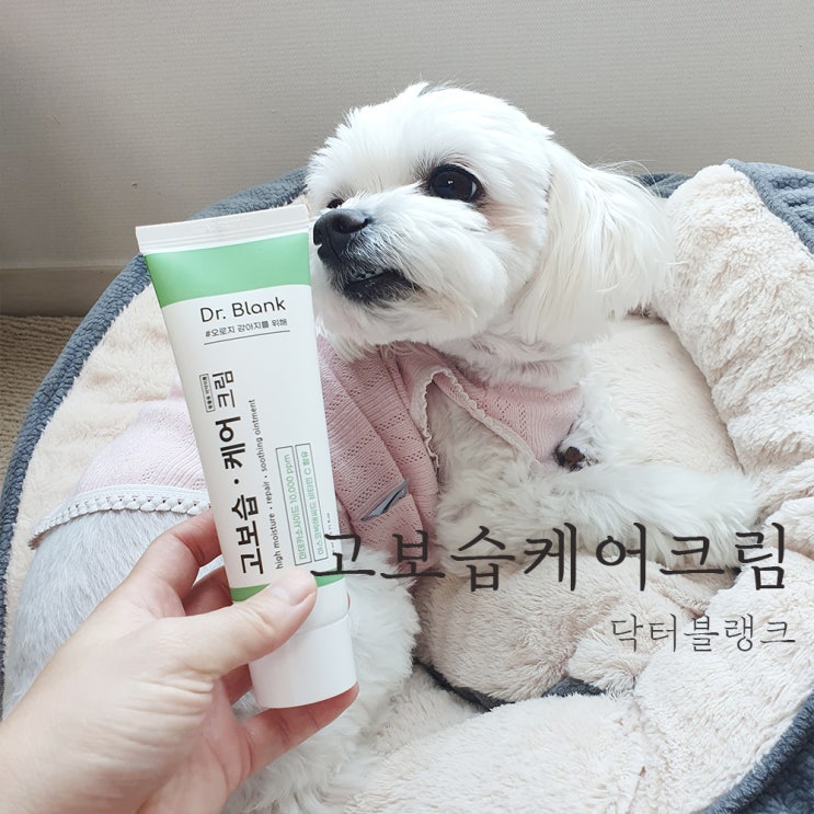  강아지 발바닥밤 닥터블랭크 보습 짱짱!