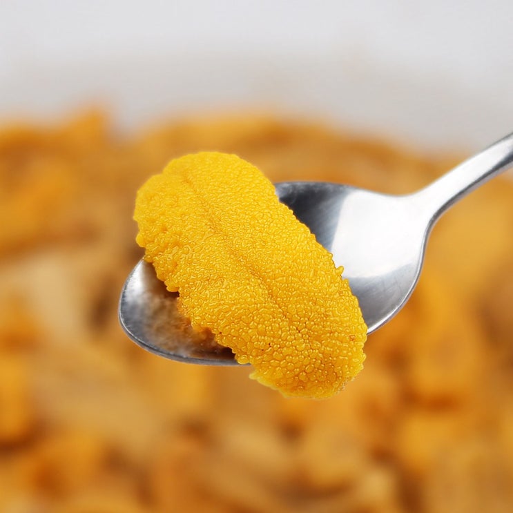 인기 급상승인 거제 해녀 자연산 생물 성게알 우니 200g 500g, 성게알 200g 추천합니다 인기 급상승인 거제 해녀 자연산 생물 성게알 우니 200g 500g, 성게알 200g 추천합니다
