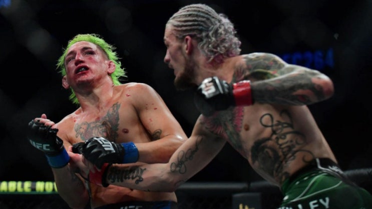 션 오말리 UFC 대전료 불만: 왜 가치대로 돈을 주지 않는 거지? 등 MMA 뉴스 션 오말리 UFC 대전료 불만: 왜 가치대로 돈을 주지 않는 거지? 등 MMA 뉴스