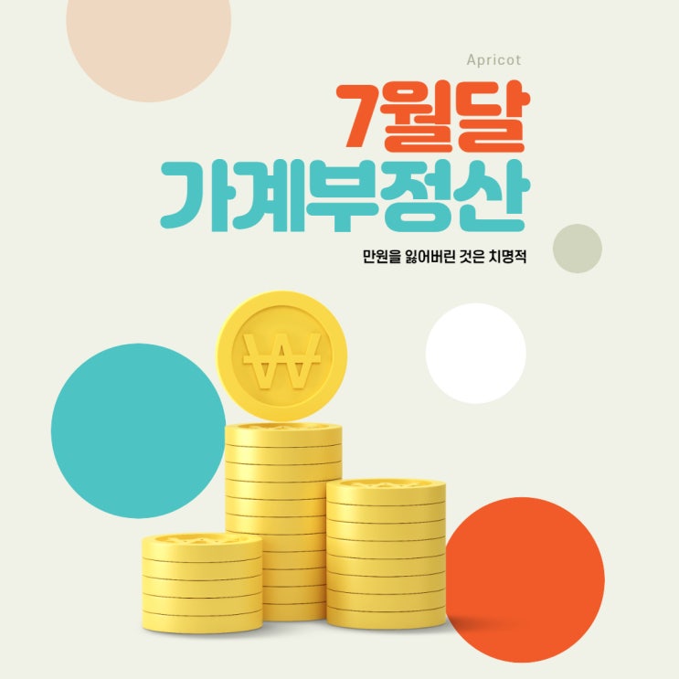  7월달 가계부 정산 (나는 바보인 것이다)