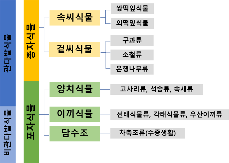 식물의 분류 1탄: 계통학적 분류 쉽게 이해하기 : 네이버 블로그