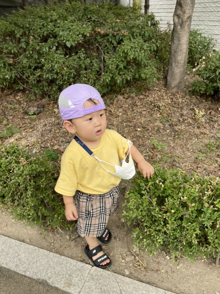  하원 후 놀이터 일상