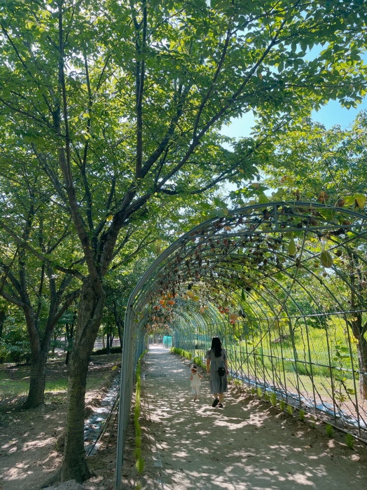  20개월아기랑 월미공원 주말나들이 토끼도보고 사슴도보고