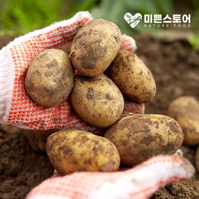 선호도 좋은 미쁜스토어 포실포실한 2021년 햇 감자 3kg 5kg 10kg 20kg, 1개, 감자 3kg 중(통구이용) 추천해요 선호도 좋은 미쁜스토어 포실포실한 2021년 햇 감자 3kg 5kg 10kg 20kg, 1개, 감자 3kg 중(통구이용) 추천해요