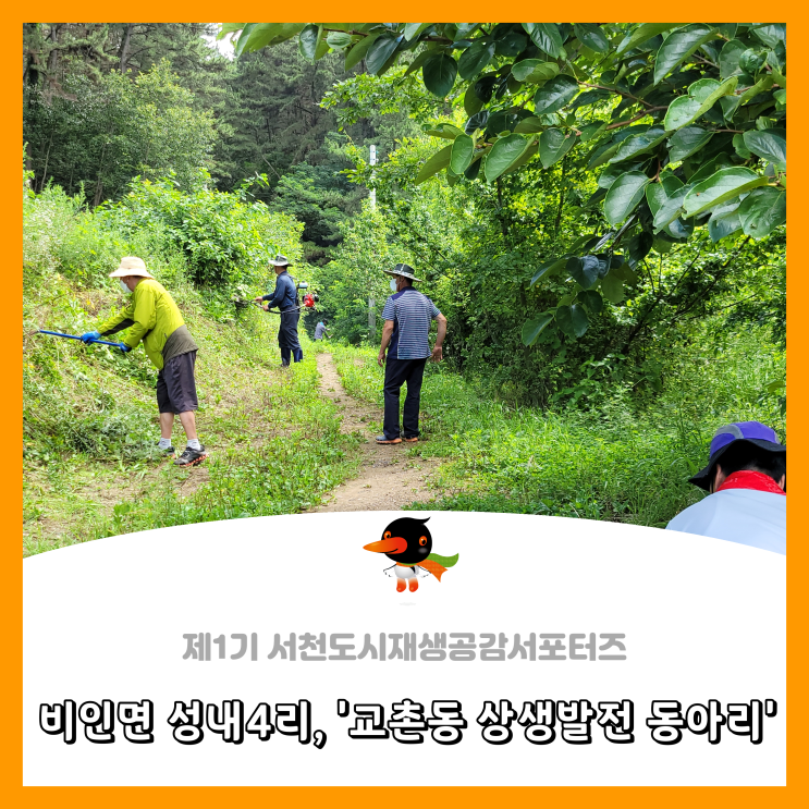  [서천군도시재생공감서포터즈단] 비인면 성내4리 '교촌동 상생발전 동아리'