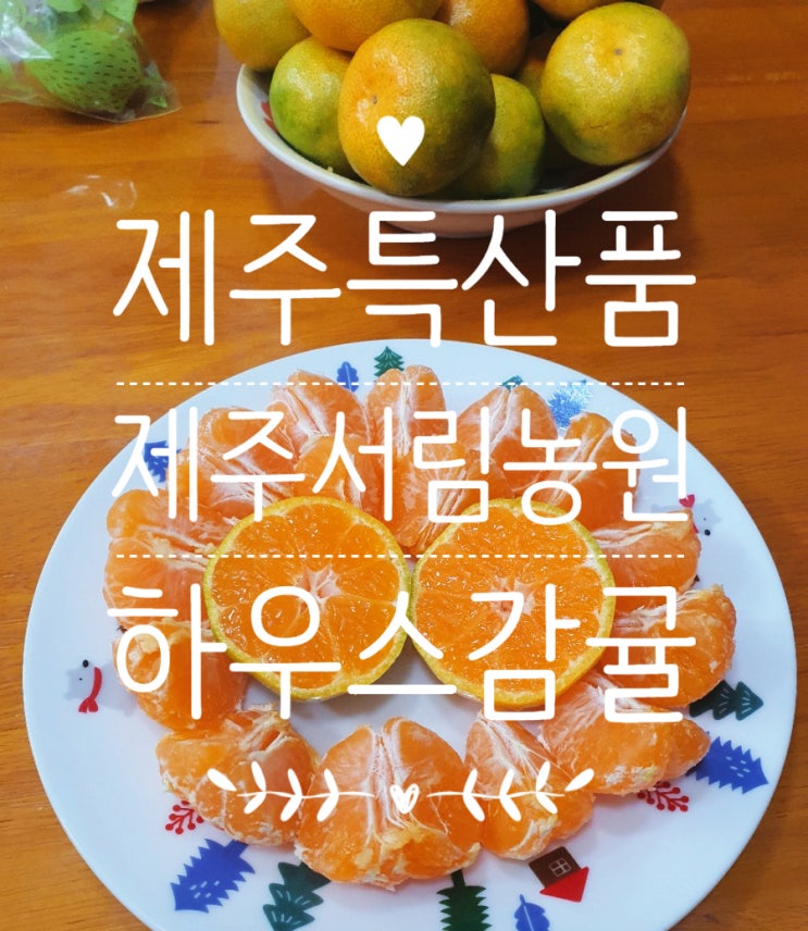  제주서림농원 제주특산품 하우스 감귤 :: 제주도 안 가도 맛볼 수 있어요! (전국 택배 가능)