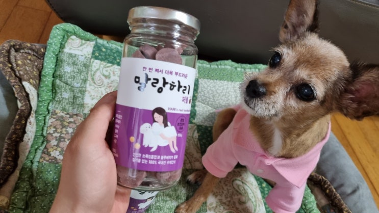말랑하리 노견영양식 강아지수제간식추천 드려요 말랑하리 노견영양식 강아지수제간식추천 드려요